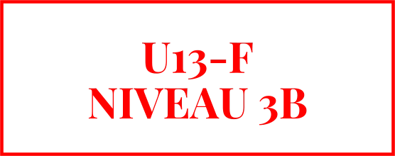 U13-F NIVEAU 3B
