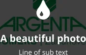   A beautiful photo Line of sub text